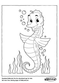 Sea horse Coloring Page
